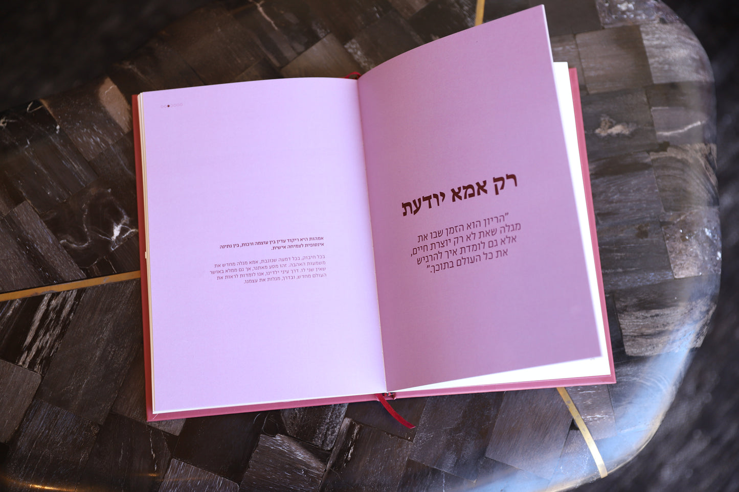 יומן מסע של ׳אמא׳